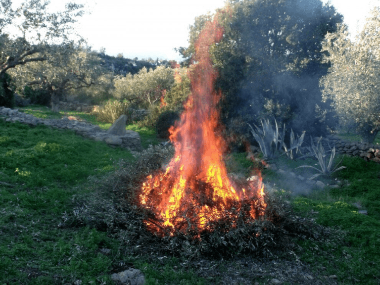 Photo montrant un départ de broussailles sur la commune de Serres dans les Hautes Alpes.